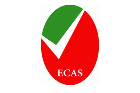 Международные стандарты ОАЭ ECAS Сертификация ЛКС Лаборатория соответствия